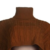 Brown Turtleneck Bat Sleeves Oversize Short Sweater