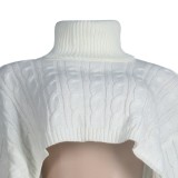 White Turtleneck Bat Sleeves Oversize Short Sweater