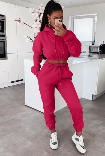 Rose Drawstring Hoody Crop Top and Pants 2PCS Set