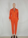 Orange Zipped Up High Neck Long Sleeve Jumpsuit