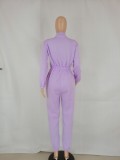 Purple Zipped Up High Neck Long Sleeve Jumpsuit