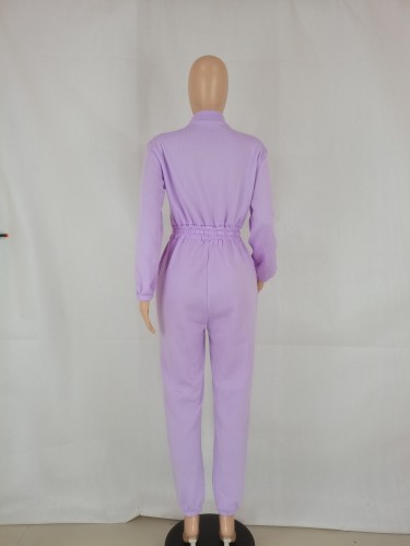 Purple Zipped Up High Neck Long Sleeve Jumpsuit