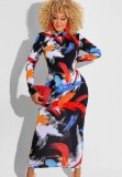 Multicolor Print Long Sleeve Long Sheath Dress