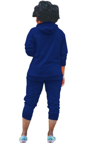 Christmas Elk Print Blue Hoody Top and Pants 2PCS Sweatsuit