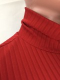 Red Turtleneck Long Sleeves Crop Top and High Waist Pants 2PCS Set
