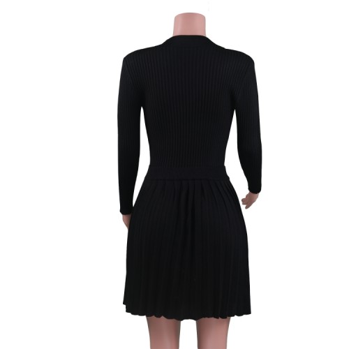 Black Ribbed Long Sleeves Crop Top and Pleated Skirt 2PCS Set