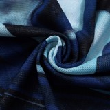 Blue Print Mesh Round Neck Long Sleeve Crop Top