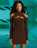 Brown Cut Out Long Sleeve Turtleneck Mini Skinny Dress