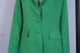 Green Long Sleeve Turndown Collar Blazer And Loose Pant 2PCS Set