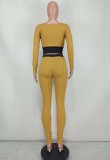 Green Contrast Square Neck Fitted Crop Top and Pants 2PCS Set
