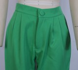 Green Long Sleeve Turndown Collar Blazer And Loose Pant 2PCS Set