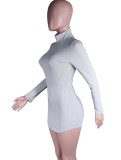 Gray High Neck Long Sleeves Slinky Mini Dress