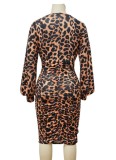 Leopard Print Plunge Neck Long Sleeves Slim Fit Midi Dress
