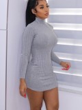 Gray High Neck Long Sleeves Slinky Mini Dress