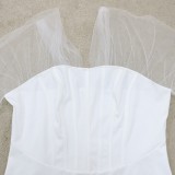 Plus Size White Mesh Patch V-Neck Long Sleeve Mini Sheath Dress