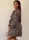 Leopard Print V-Neck Long Sleeves Mini Skater Dress