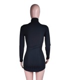 Black High Neck Long Sleeves Slinky Mini Dress
