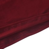 Wine Red O-Neck Tassel Long Sleeve Sheath Mini Dress