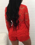 Red Lace Translucent Long Sleeve Cardigan and Shorts 2PCS Set