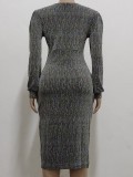 Grey V-Neck Long Sleeves Elegant Bodycon Midi Dress