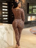 Zebra Print Brown Keyhole High Cut Bodysuit and Pants 2PCS Set