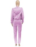 Purple Zipper Hoody Top and Triangle Bra with Pants 3PCS Sweatsuits