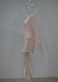 Pink Sequins Mesh Patch Midi Neck Single Sleeve Shirring Mini Dress