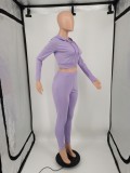 Purple Long Sleeve Zip Drawstring Hoody Crop Top and Pants 2PCS Set