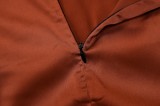 Brown Silk Cross Neck Sleeveless Backless Maxi Dress