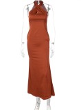 Brown Silk Cross Neck Sleeveless Backless Maxi Dress