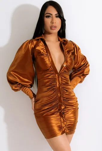 Brown Silk Turndown Collar Button Long Sleeve Skinny Mini Blouse Dress