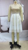Beige Lace O-Neck Long Sleeve Skater Dress