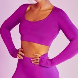 Purple Long Sleeve O-Neck Bodycon Workout Active Sport Crop Top