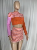 Stripe Print Kintted Long Sleeves Crop Top and High Waist Mini Skirt 2PCS Set