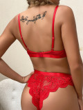 Red Sexy Lace Bra and Pantie Lingerie Set
