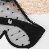 Black See Through Underwear Crop Top and Panty Lingerie 2PCS Set