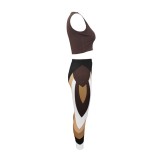 Brown O-Neck Sleeveless Crop Top and Print High Waist Pants 2PCS Set