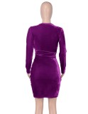 Purple Velvet V-Neck Long Sleeve Ruched Irregular Mini Dress