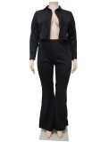 Plus Size Black Velvet Button Up Long Sleeves Blouse and Pants 2PCS Set