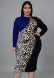 Plus Size Leopard Patch Contrast Color O-Neck Long Sleeve Midi Dress