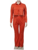 Plus Size Orange Velvet Button Up Long Sleeves Blouse and Pants 2PCS Set