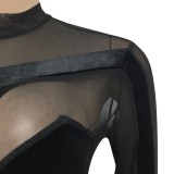 Black Velvet Patch Mesh Midi Neck Long Sleeve Fitted Jumpsuit