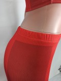 Red Fitted Cami Crop Top and High Waist Pants 2PCS Set