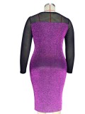 Plus Size Purple Patch Black Mesh O-Neck Long Sleeve Midi Dress