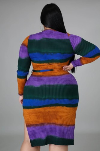 Plus Size Multicolor Side Slit O-Neck Long Sleeve Midi Dress with Belt