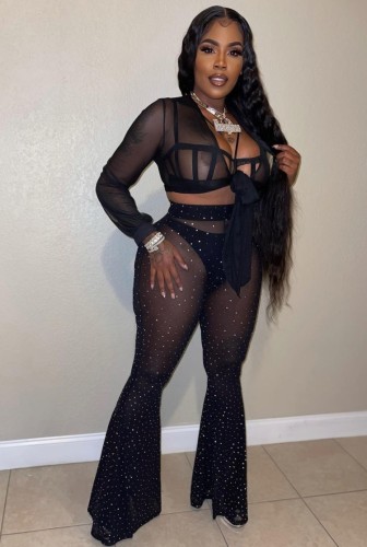 Black Mesh See Through Tied Long Sleeve Crop Top and Beaded Bell Bottom Pants 2PCS Set