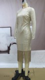 Golden Sequins O-Neck Long Sleeve Fringe Mermaid Maxi Dress
