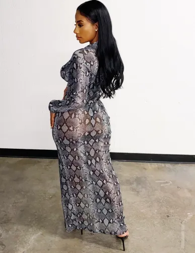 Snake Print Zipper Up Long Sleeve See Through Slit Maxi Dress