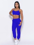 Blue Cami Crop Top and Zip Hoody Top with Drawstring Pants 3PCS Set