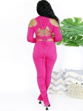 Rose Lace Up Long Sleeves Hoody Crop Top and Stacked Slit Pants 2PCS Set